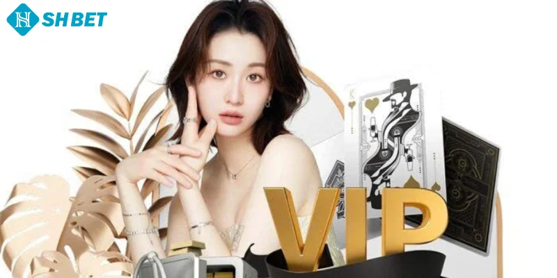Quyền lợi VIP tại SHBET như thế nào